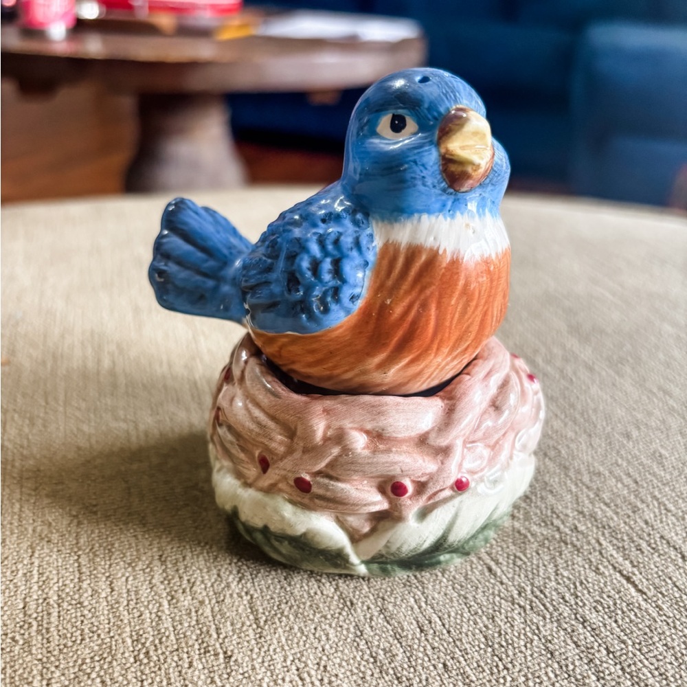 A Special Place Bluebird & Nest Salt & Pepper Shakers